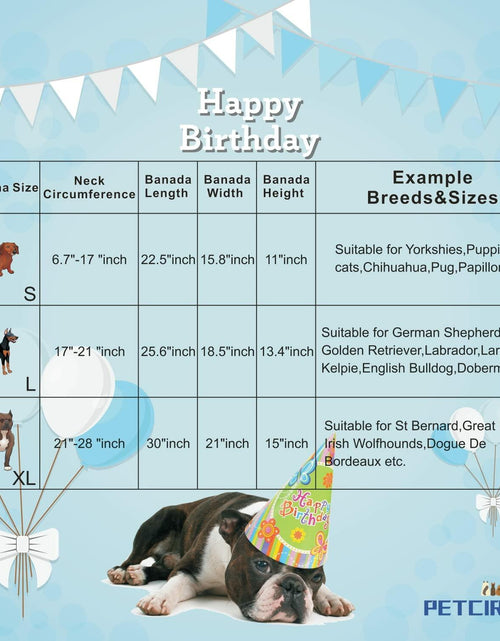 Load image into Gallery viewer, Dog Birthday Party Hats Bandana Double Layer Fabric Large Blue Size L
