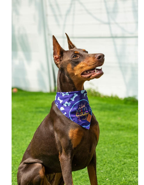 Load image into Gallery viewer, Dog Birthday Party Hats Bandana Double Layer Fabric Large Blue Size L
