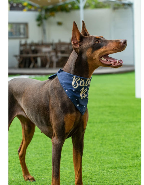 Load image into Gallery viewer, Dog Birthday Party Hats Bandana Double Layer Fabric Large Blue Size L

