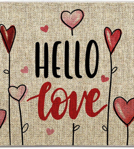 GAGEC Valentines Day Door Mat Hello Love Hearts Decorative 17x27 Inch