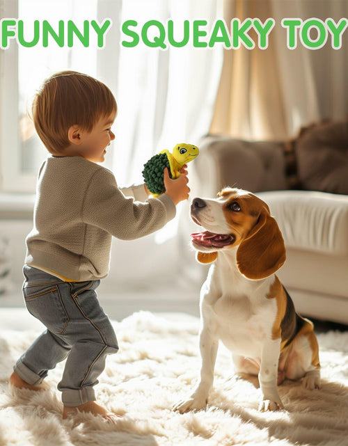 Load image into Gallery viewer, [Like New] Aqezd Turtle Small Dog Squeaky Toy with Ball 2-in-1 Plush Rubber Core
