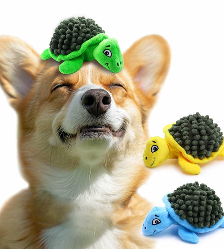 [Like New] Aqezd Turtle Small Dog Squeaky Toy with Ball 2-in-1 Plush Rubber Core