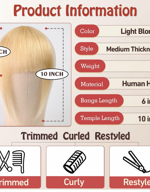 Load image into Gallery viewer, starluck Clip in Bangs 9g 100% Human Hair Extensions Light Blonde
