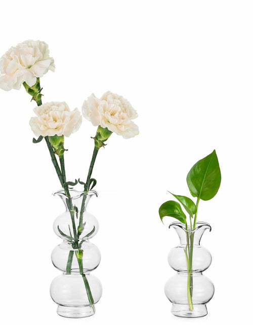 Load image into Gallery viewer, Hewory Glass Bubble Bud Vase Small Clear Glass Flower Vase for Single Stem
