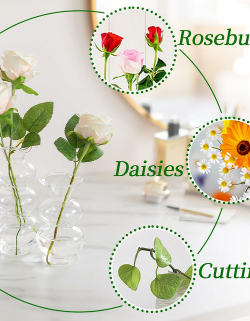 Load image into Gallery viewer, Hewory Glass Bubble Bud Vase Small Clear Glass Flower Vase for Single Stem
