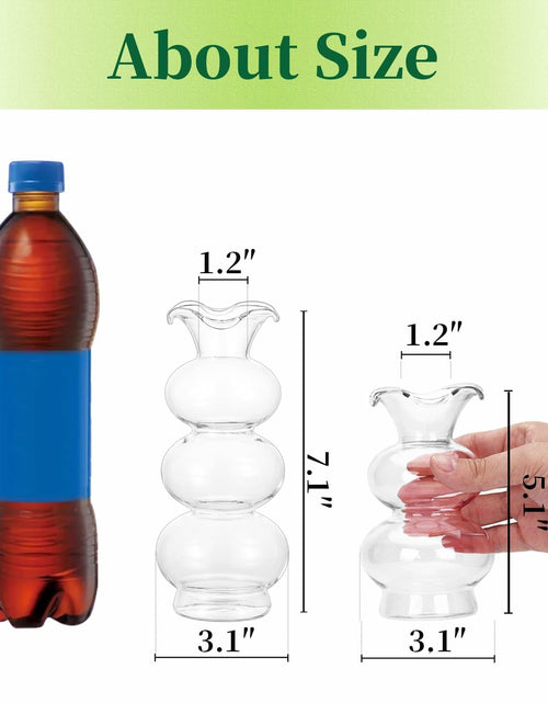 Load image into Gallery viewer, Hewory Glass Bubble Bud Vase Small Clear Glass Flower Vase for Single Stem
