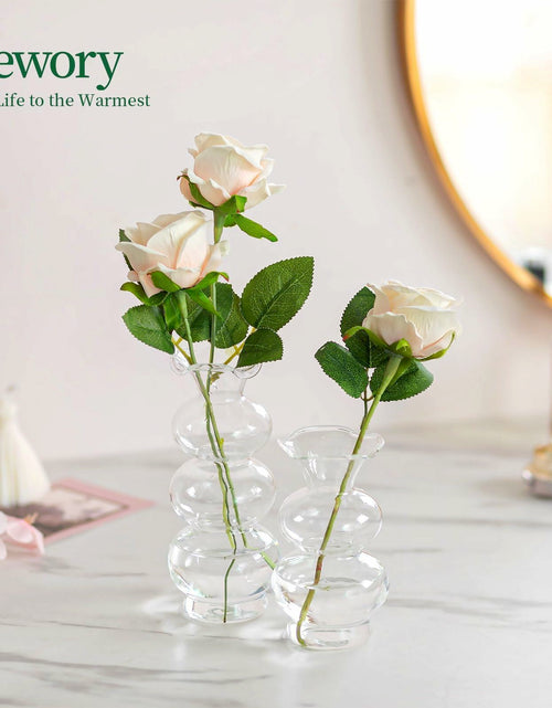 Load image into Gallery viewer, Hewory Glass Bubble Bud Vase Small Clear Glass Flower Vase for Single Stem
