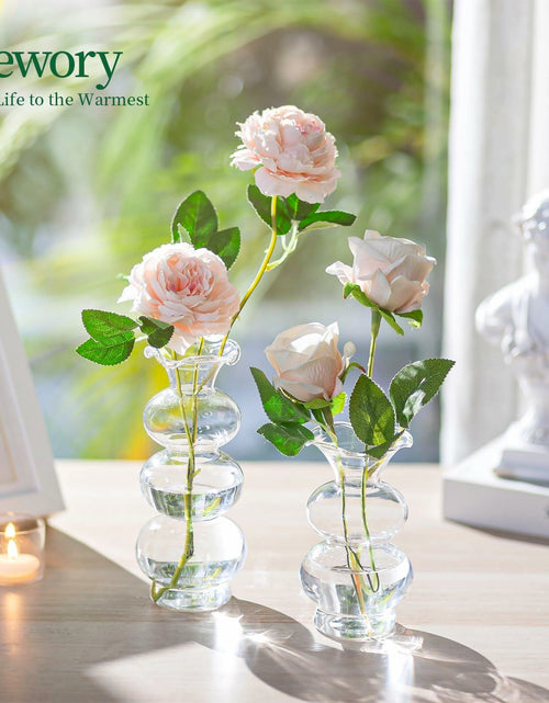 Load image into Gallery viewer, Hewory Glass Bubble Bud Vase Small Clear Glass Flower Vase for Single Stem
