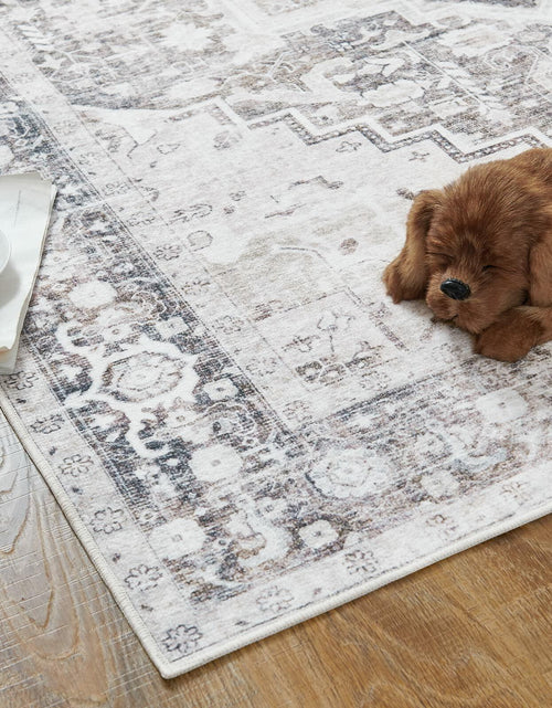 Load image into Gallery viewer, jinchan Area Rug 4x6 Washable Vintage Floral Non Slip Indoor Greige
