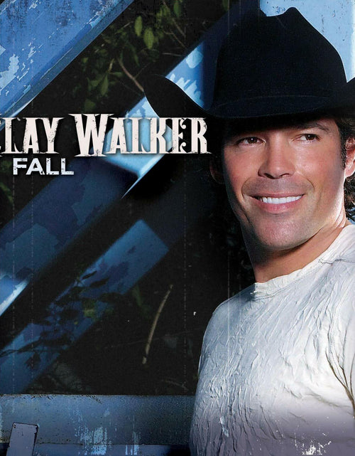 Load image into Gallery viewer, Fall
