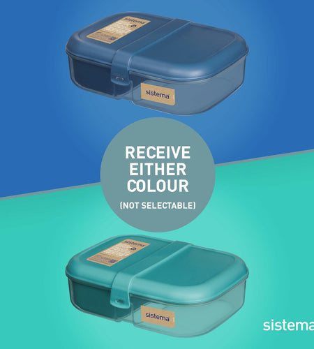 Sistema PDQ Ribbon Lunch To Go 1.1L Container BPA Free