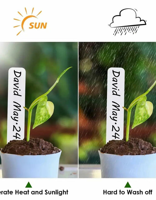 Load image into Gallery viewer, [Like_new] meumtuu 200 PCS White Plastic Plant Labels Garden Markers PVC PVCPL-200W

