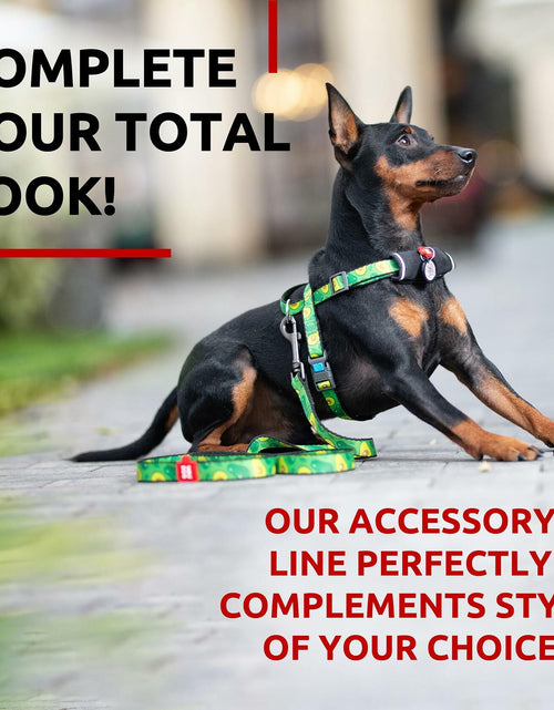 Load image into Gallery viewer, WAUDOG Nylon Dog Leash Heavy Duty 4 Ft for Small Medium Large Dogs
