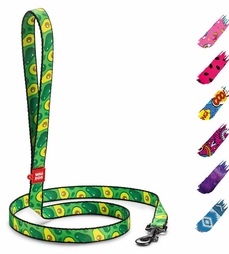 WAUDOG Nylon Dog Leash Heavy Duty 4 Ft for Small Medium Large Dogs