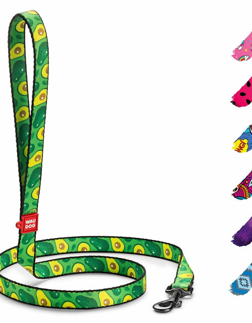 Load image into Gallery viewer, WAUDOG Nylon Dog Leash Heavy Duty 4 Ft for Small Medium Large Dogs
