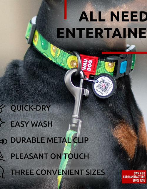Load image into Gallery viewer, WAUDOG Nylon Dog Leash Heavy Duty 4 Ft for Small Medium Large Dogs

