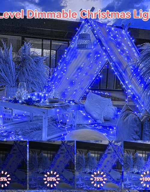 Load image into Gallery viewer, Heceltt 1140 LED 449FT Outdoor String Lights Blue 8 Modes Timer IP44
