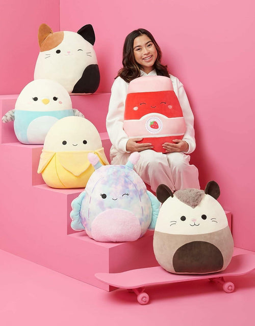 Load image into Gallery viewer, Squishmallows Emery Latte Squeaky Plush Dog Toy 3.5" Multicolor
