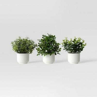 Load image into Gallery viewer, Room Essentials Herb Artificial Plant White Pot Color White
