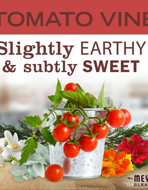 Load image into Gallery viewer, MRS. MEYER'S CLEAN DAY Liquid Hand Soap Tomato Vine Scent 12.5oz Red
