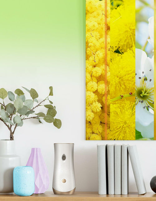 Load image into Gallery viewer, Glade Automatic Spray Refill Radiant Bloom Scented Air Freshener 6.2 Oz
