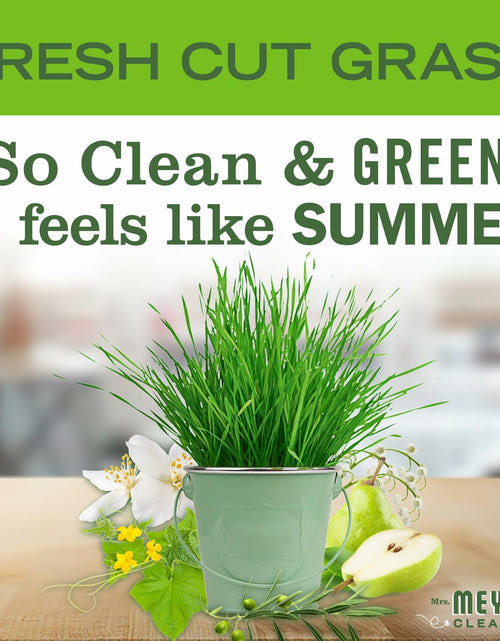 Load image into Gallery viewer, MRS. MEYER'S CLEAN DAY Liquid Hand Soap Fresh Cut Grass Scent 12.5oz
