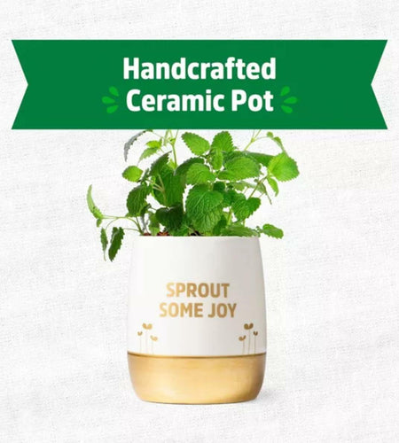 Wellness Grow Kit Lemon Balm Herb Plant Grow Kit 0.75lb Package