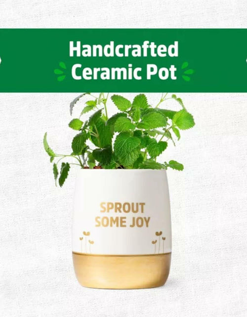 Load image into Gallery viewer, Wellness Grow Kit Lemon Balm Herb Plant Grow Kit 0.75lb Package

