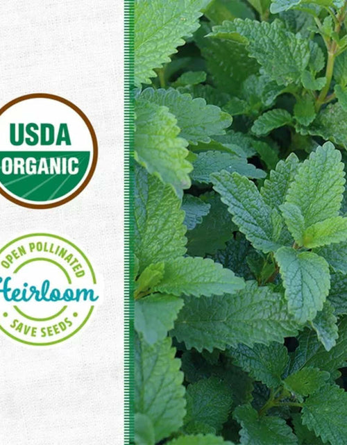 Load image into Gallery viewer, Wellness Grow Kit Lemon Balm Herb Plant Grow Kit 0.75lb Package
