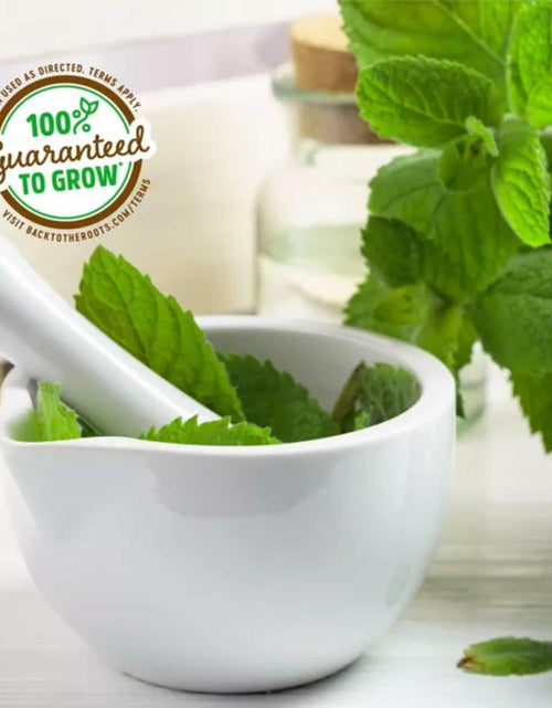 Load image into Gallery viewer, Wellness Grow Kit Lemon Balm Herb Plant Grow Kit 0.75lb Package
