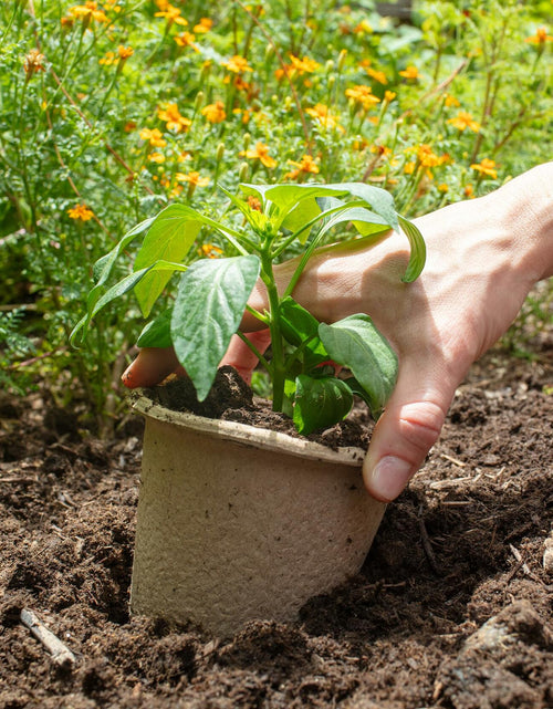 Load image into Gallery viewer, [Like New] Back to the Roots Organic Plantable Seed Starting Pots 4.25" Wide Brown 8 Ct
