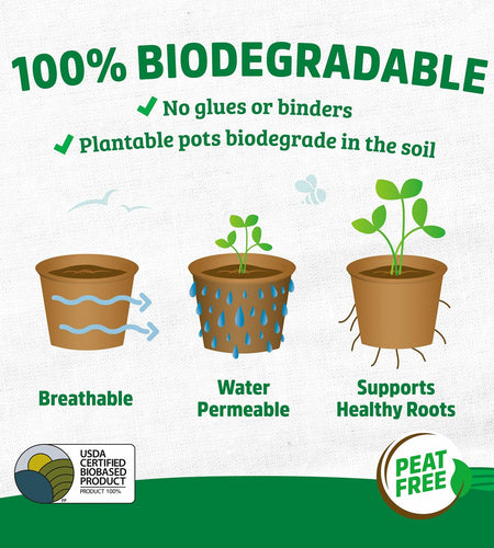 Back to the Roots Organic Plantable Seed Starting Pots 4.25" Wide Brown 8 Ct
