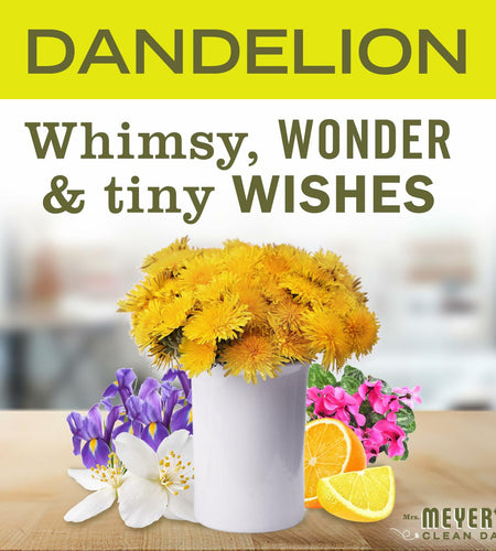 Mrs. MEYER'S CLEAN DAY Liquid Dish Soap Dandelion Scent 16oz Bottle