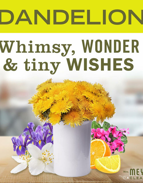 Load image into Gallery viewer, Mrs. MEYER'S CLEAN DAY Liquid Dish Soap Dandelion Scent 16oz Bottle

