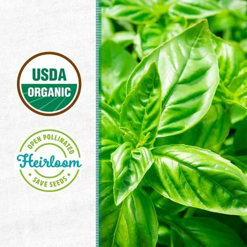 Load image into Gallery viewer, Wellness Grow Kit Basil Indoor Herb Garden Hydroponic System 0.76lb
