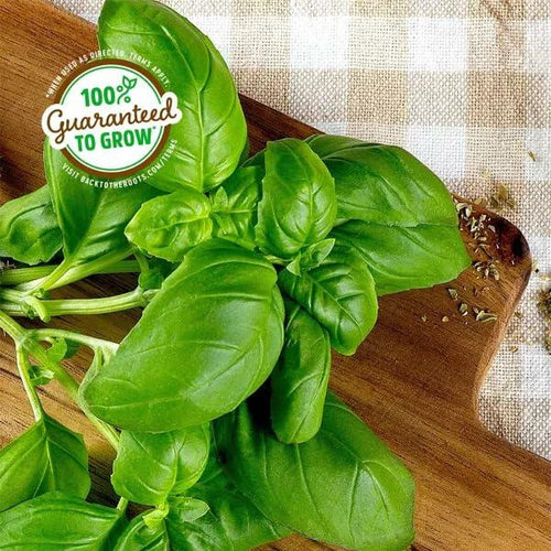 Load image into Gallery viewer, Wellness Grow Kit Basil Indoor Herb Garden Hydroponic System 0.76lb

