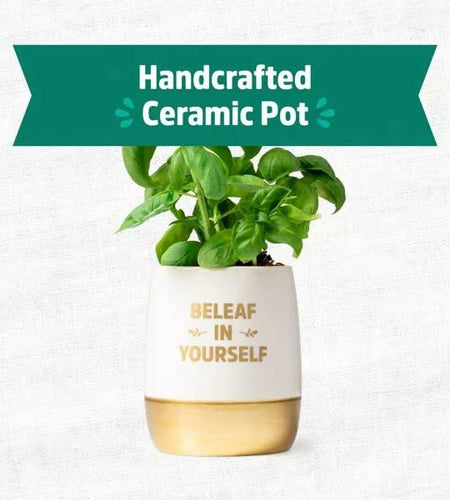 Wellness Grow Kit Basil Indoor Herb Garden Hydroponic System 0.76lb