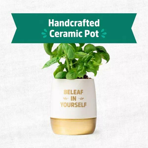 Load image into Gallery viewer, Wellness Grow Kit Basil Indoor Herb Garden Hydroponic System 0.76lb
