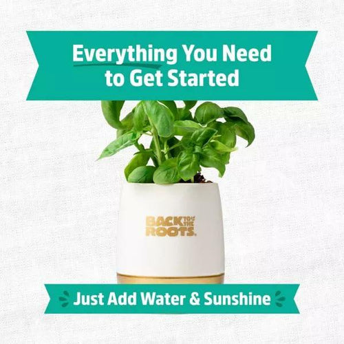 Load image into Gallery viewer, Wellness Grow Kit Basil Indoor Herb Garden Hydroponic System 0.76lb
