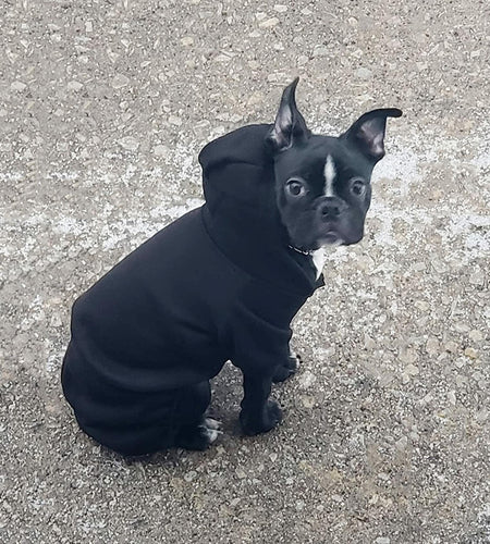 [Like New] LifeWheel Dog Hoodie Fleece Sweatshirt Buttons Winter Warm Cotton Black Size M