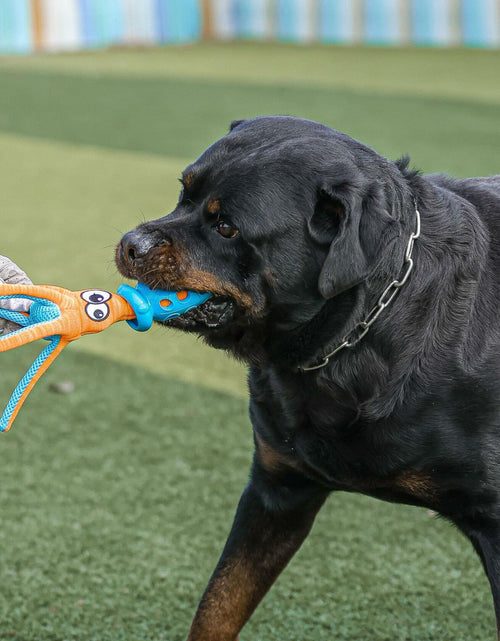 Load image into Gallery viewer, Qonline Squid Shaped Squeaky Dog Toy TPR Material Orange Interactive Play
