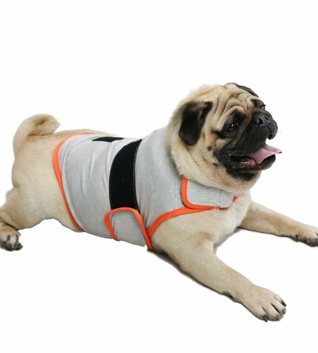 cattamao Dog Anxiety Relief Coat Calming Vest Navy Size Small
