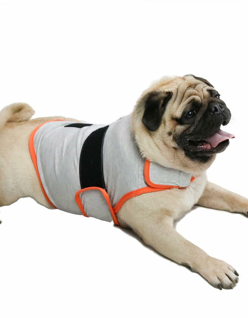 Load image into Gallery viewer, cattamao Dog Anxiety Relief Coat Calming Vest Navy Size Small
