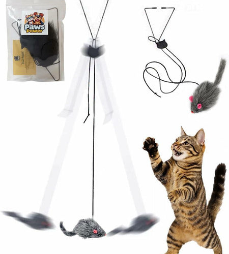 Paws Power Hanging Door Cat Mouse Toy Interactive Indoor Play Exercise
