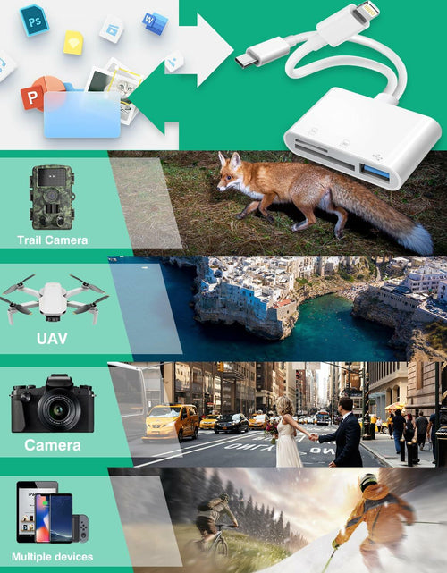 Load image into Gallery viewer, Dargahou Trail Camera Viewer SD Card Reader Photo Video No App Blue
