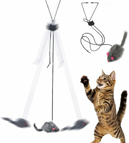 Paws Power Hanging Door Cat Mouse Toy Interactive Indoor Play Exercise