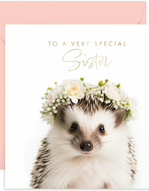 Load image into Gallery viewer, Old English Co. Hedgehog Sister Birthday Card Floral Gold Blank Envelope
