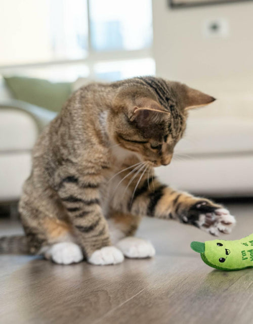 Load image into Gallery viewer, Catstages Crunchy Pickle Kicker Cat Toy with Catnip Dental Mesh Green
