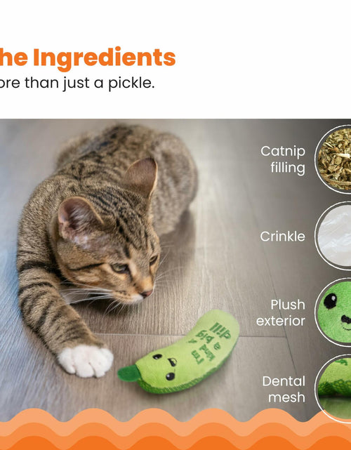 Load image into Gallery viewer, Catstages Crunchy Pickle Kicker Cat Toy with Catnip Dental Mesh Green
