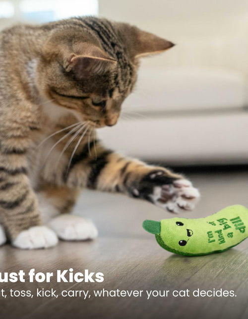 Load image into Gallery viewer, Catstages Crunchy Pickle Kicker Cat Toy with Catnip Dental Mesh Green
